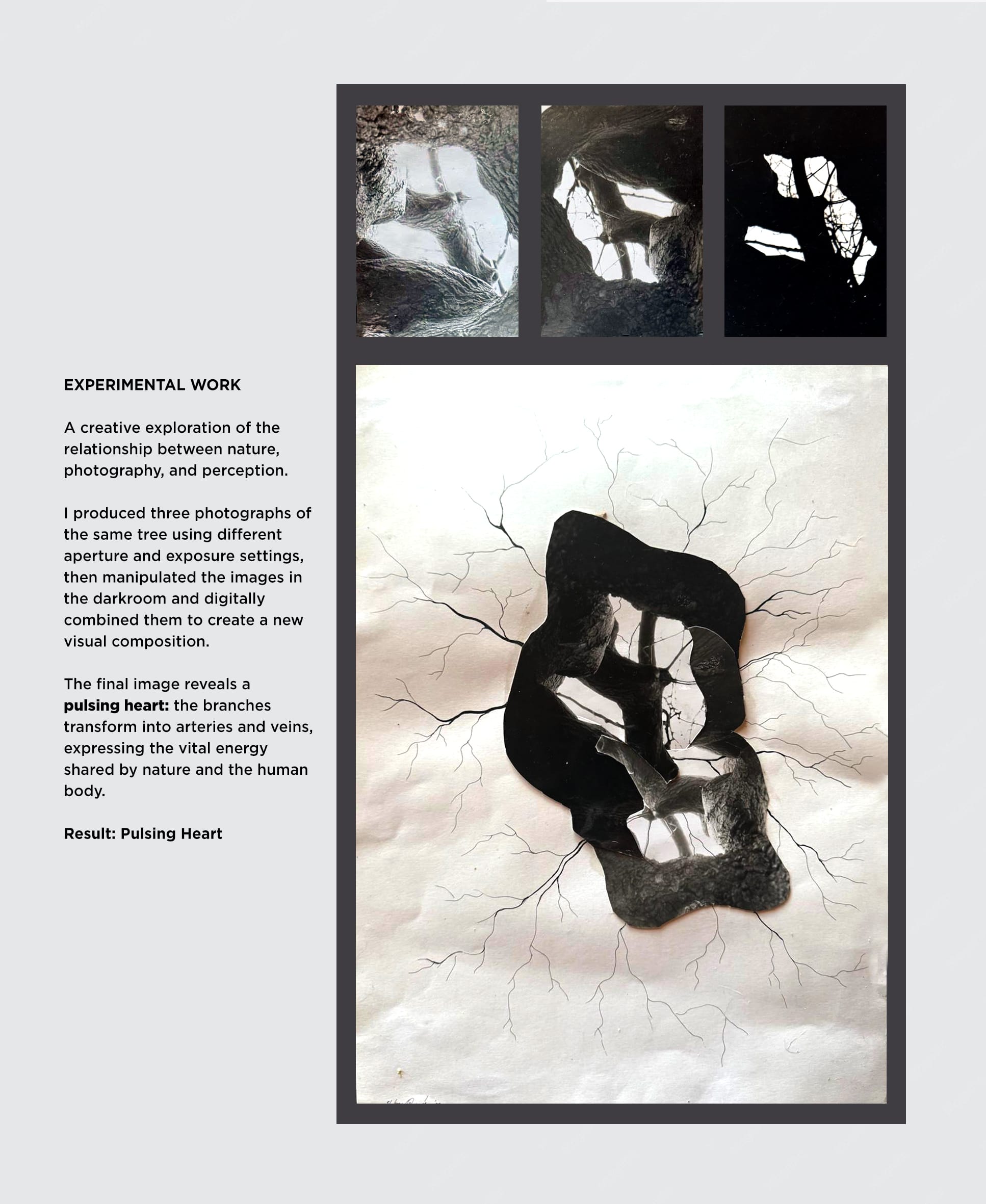 PULSING HEART — immagine 2