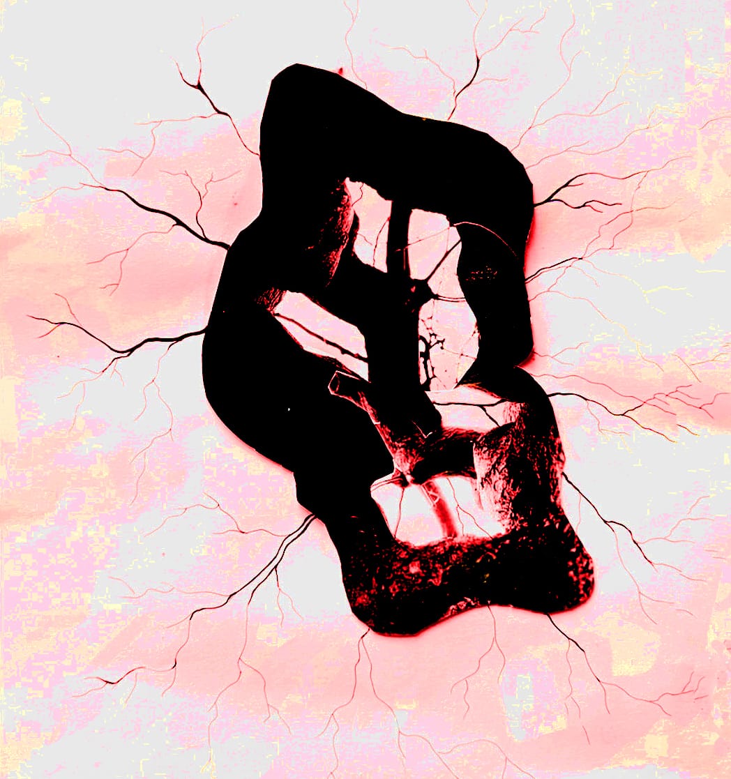 PULSING HEART — immagine 4